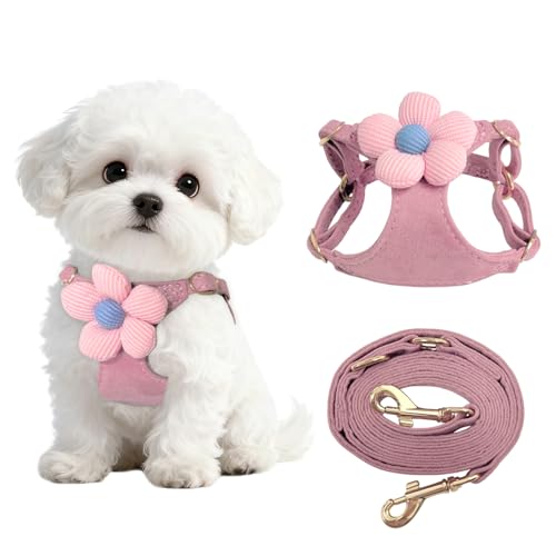 No Pull Dog Harness and Leash Set for Small Sized Dog Training; Puppy Harnesses with Multifunction Dog Leash, Soft Adjustable No Choke Escape Proof Pet Harness for Small and Medium Dog (Pink S)