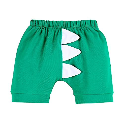 Dinosaur Outfit Boys Baby Cake Smash First Dinosaur Theme Birthday Party Supply Decorations Little Dino Bloomers Shorts Pants Jungle Wild One 1st Birthday Photo Shoot Green - Dinosaur 12-18 Months