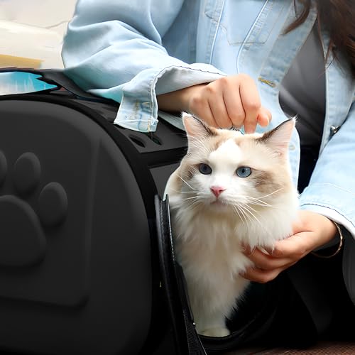 Retoo Transportbox für Katze Hund Transporttasche für Haustiere, Faltbare Haustier Tragetaschen für Kleine Hunde Haustiertransportbox für Kätzchen Welpen und Kaninchen Schwarz