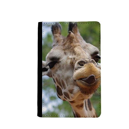 Porte-cartes de voyage protège-passeport motif cerf pour ne plus perdre vos papiers