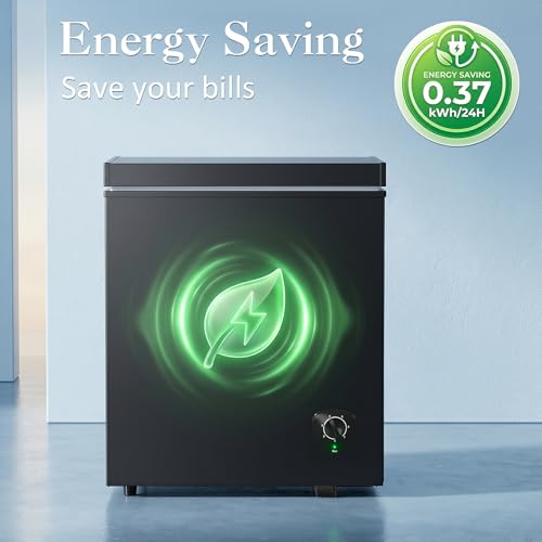 Walk-in freezer cold storage large