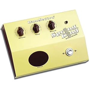 Danelectro DSR1 Spring King