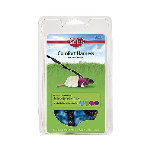 Kaytee Comfort Harness and Stretch Leash, Small - image 1