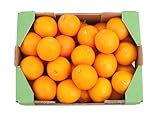 🍊 CALIDAD Y FRESCURA GARANTIZADA 🍊 Naranjas recién recolectadas, sin tratamientos postcosecha, directas del campo a tu mesa para conservar todo su sabor, jugosidad y valor nutricional. Cultivadas con prácticas agrícolas responsables y enviadas el mismo día de la cosecha.