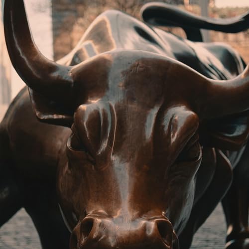 Ep. 8 - Trade Planning, Market Opportunity & Exit Strategy