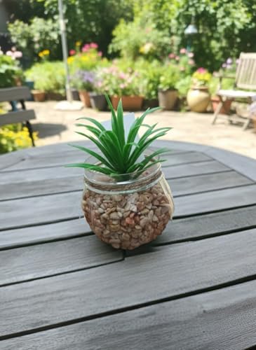 Artificial Succulent Plant in Glass Jar with Pebbles, Green, Decorative Tabletop Decor