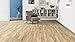 Produktbild HARO Laminat TRITTY 100 Eiche Venezia 1-Stab-Landhausdiele 4V Silent Pro 1,73m²