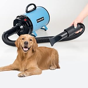Dog Dryer, Dog Blow Dryer, High Velocity Professional Pet Grooming Dryer, Dog Hair Dryer with Heater, Stepless Adjustable Speed, 3 Different Nozzles and a Comb, Blue Dog Dryer, Dog Blow Dryer, High Velocity Professional Pet Grooming Dryer, Dog Hair Dryer with Heater, Stepless Adjustable Speed, 3 Different Nozzles and a Comb, Blue