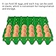 Eierablage,Eierschachtel 5 STÜCKE 28,7 x 28,3 cm Kunststoff Eierkartons 30 Zellen Eierkisten Halter Tablett für Lagerung Transport Home Farm Supplies(Grün)
