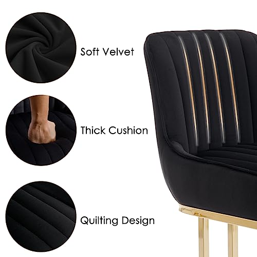 Wahson Set di 2 Sedie da Pranzo in Velluto Sedie