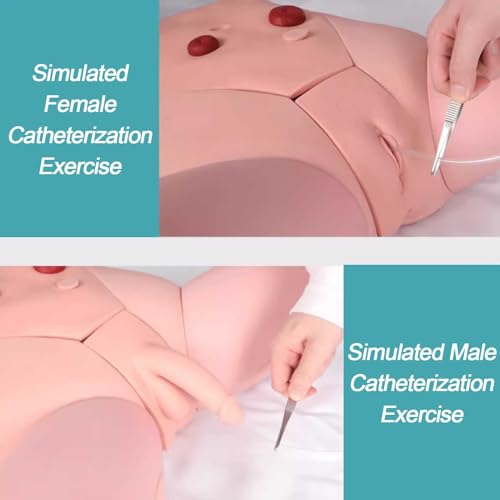 Mannequin soin membres inférieurs injection lavement cathétérisme - 4