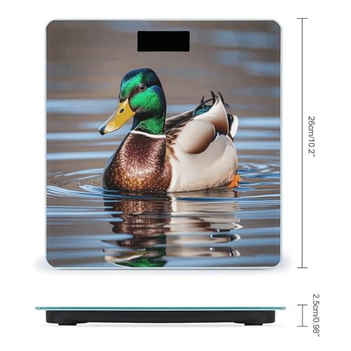 Báscula digital Mallard Duck para peso corporal miniatura 2