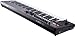 Roland 61-key MIDI Keyboard Controller, Black (A-800PRO-R)