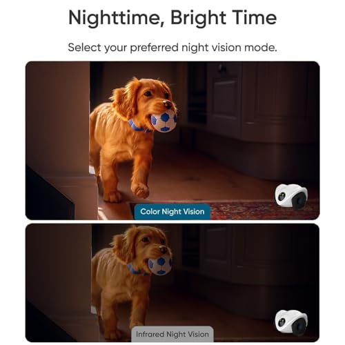 Image of Robot Pet Camera with One-Tap Treat Dispensing | Mobile 360 Monitor, 2-Way Audio, and Smart Tracking | No Monthly Fees, Dual Cameras, Long Battery Life for Pet Care
