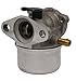 Briggs & Stratton 498170 Carburetor