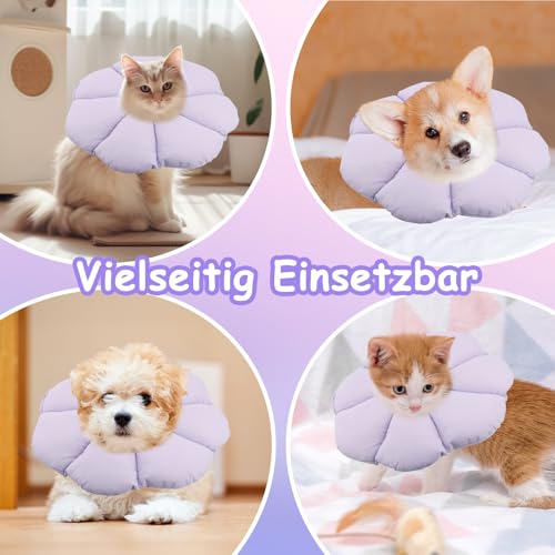 Honosen Halskrause Katze, Weich Blumen Katzenkragen, Einstellbarer Katzenkragen, Wasserdicht Leckschutz Kragen für Katzen Klein Hunde Nach Operation und Verletzungen, Lila