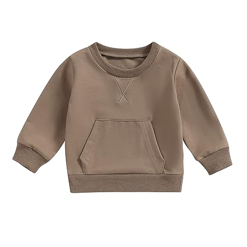 Image of Tsseiatte Toddler Baby Boy Girl Long Sleeve Crewneck Pullover Sweatshirt Sweater Outfits Solid Color Casual Clothes
