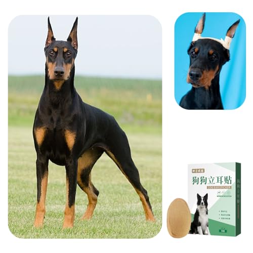 Image of 2 Pcs Dog Ear Posting Kit for Doberman Pinschers - Dog Ear Tape Ear Stand Up Support Tool with Tape for Ear Correction and Vertical Hold