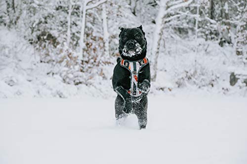 Embark Urban Dog Harness, Easy On and Off with Front and Back Leash Attachments & Control Handle - No Pull Training, Size Adjustable and Non Choke (XL, Pipeline) - Thumbnail 7