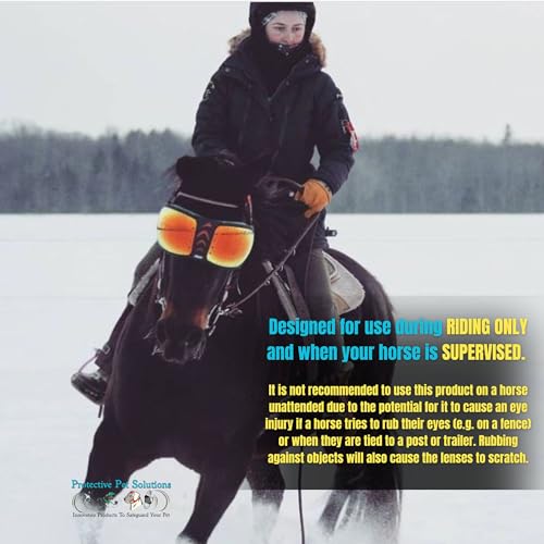 EQUICK Gafas de Caballo eVysor con protección UV para hípica 4
