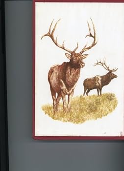 Hardcover Hunting on Big Game Trails (Signed Limited Edition) Book