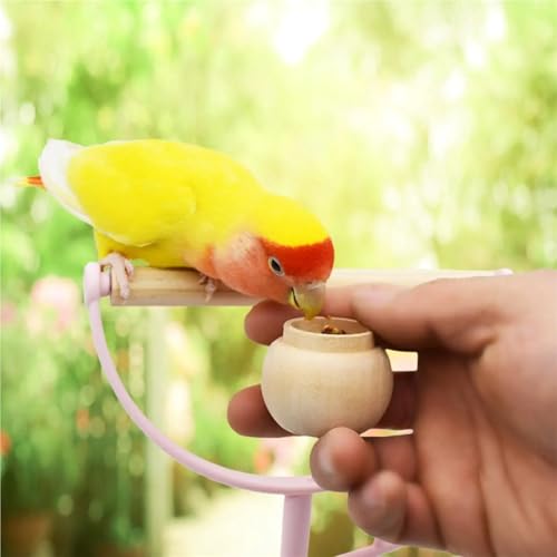 Boîte à nourriture oiseaux x6 réutilisable pour jardin - 5