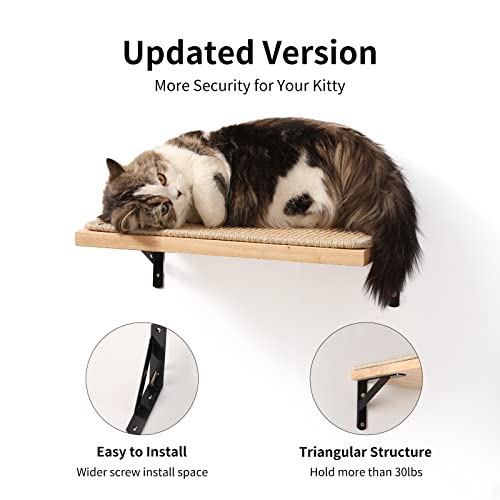  Cat Wall Shelves