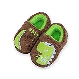 Mikitutu Toddler Boys & Girls Cute Dinosaur Slippers, Kids Winter House Shoes