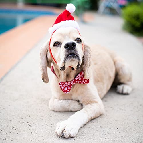 Huxley & Kent Pet Hat | Santa (Large) | Festive Christmas Holiday Accessory For Dogs/Cats | Holiday Pet Hat | Snugfit Sliding Toggles For Best Fit #TOP6