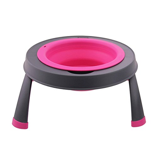 Dexas Popware for Pets Single Elevated Pet Feeder, Small, Gray/Pink