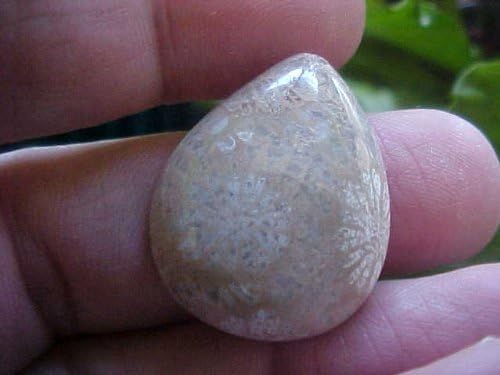 Gemqz S1608 Coral Agate Fossil Flower Tear Drop Shape !!