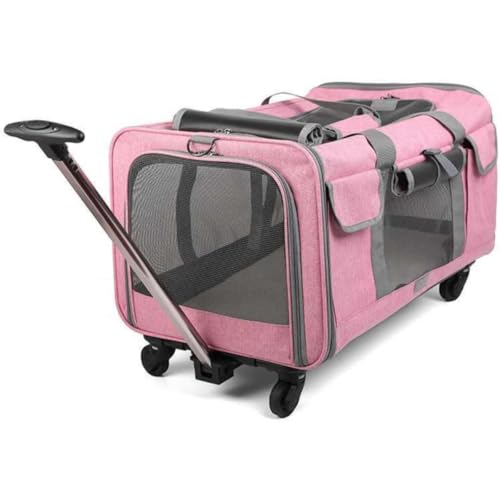 Qfmr LX^[tybgpLOobOAA{bNXA܂肽ݎAALAybgobOAʋCA|[^uAԓ܂肽ݎAOŉƂɋA鏬^ђ^̌ƔLɓKĂ܂ gL[Rei L[J[g Ŏgp\ [ې É