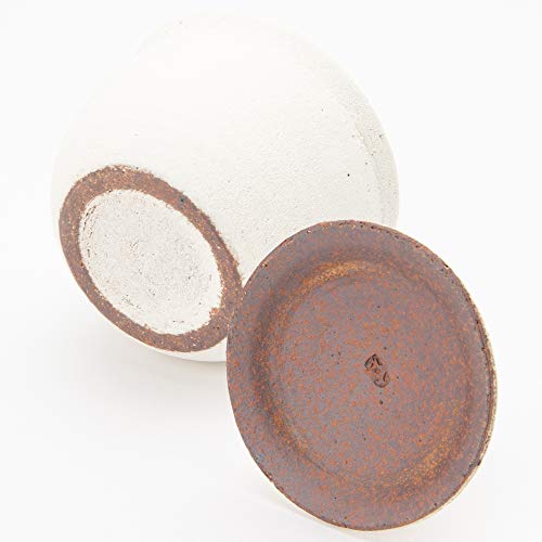 へちもん 信楽焼 さらさら塩壺 大 3枚目