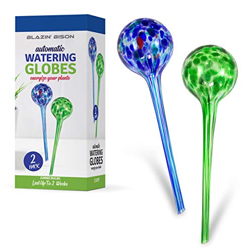 Blazin' Bison Automatic Irrigation Drippers Extra Large | Watering Globes for Indoor Plants | House Plant Water Bulb | Up to Two Weeks | 2pc Set (Jumbo)