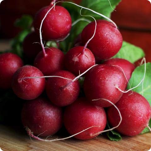 Creative Farmer Vegetable Seeds Indian Radishes Seeds - Radish Full Red Seeds Home Garden Seeds (B07N48XSRS) Amazon Price History, Amazon Price Tracker