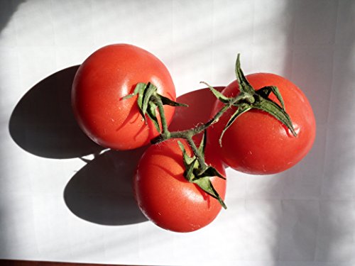 Semi pomodoro 4 varieta'-spunzillo