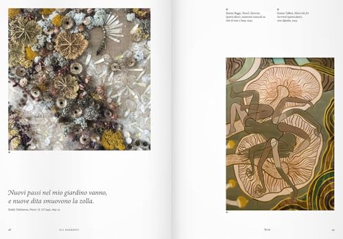 Elementi. Caos, Ordine E Le Cinque Forze Elementari. Ediz. A Colori - 5