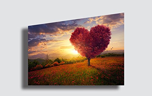 Quadro Moderno FIORI Amore Cuore Love Tramonto Alba Fiore Cucina Soggiorno Camera da letto Quadri Moderni Stampa Tela Canvas (70x100 cm)