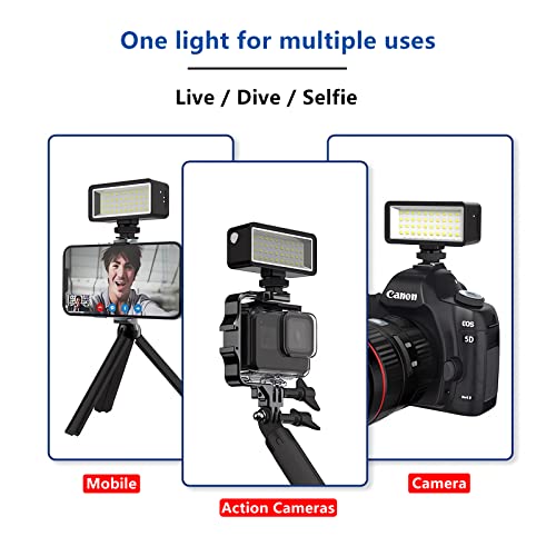 REYGEAK Luce subacquea Illuminazione subacquea