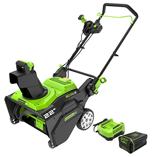 Greenworks 80V 22