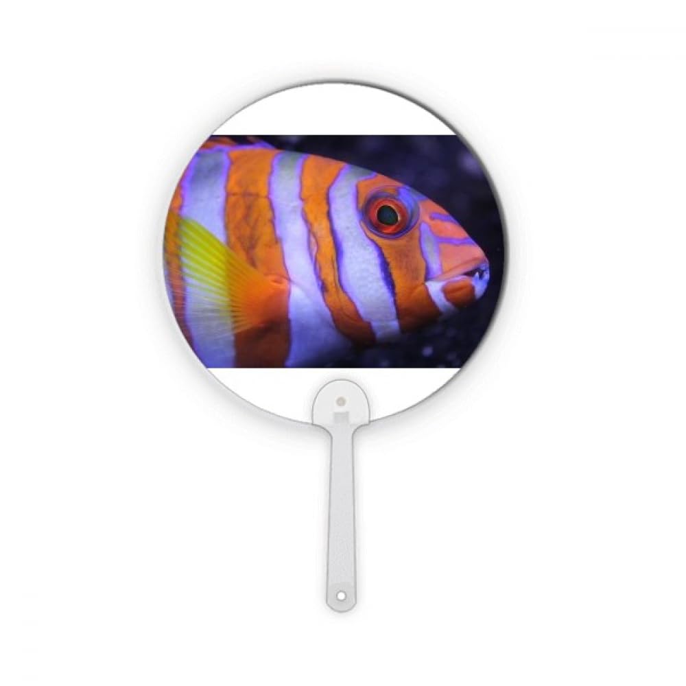 Poisson tropical rond pour créer un décor marin apaisant dans la salle de bain