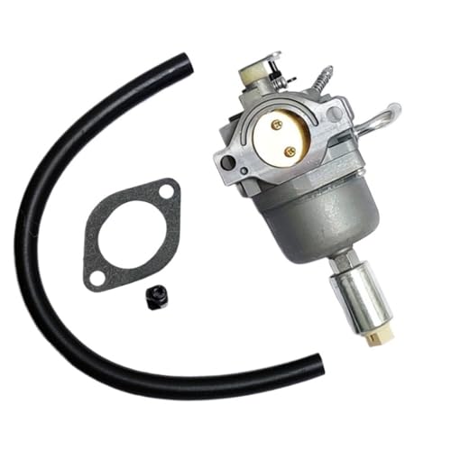 Carburateur pour Bailitong 591731 796109 compatible moteurs de tondeuse