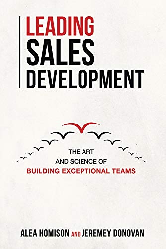 Leading Sales Development view 2