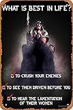 Metal Sign - Conan What is Best in Life? Tin Poster 8x12 Inch