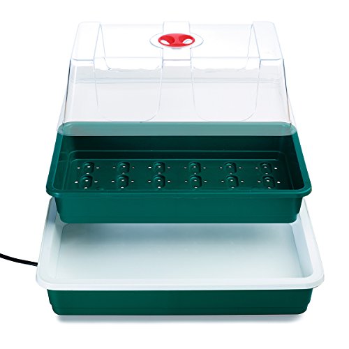 Preisvergleich Produktbild Beckmann GAQ Anzuchtkasten Modell E, grün