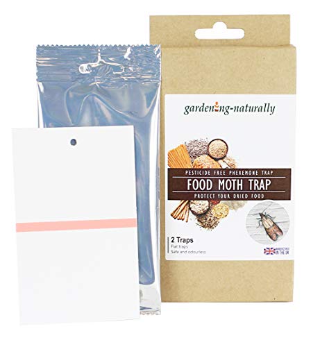 Food Moth Traps Pesticide Pheromone Trap (Pack of 4)