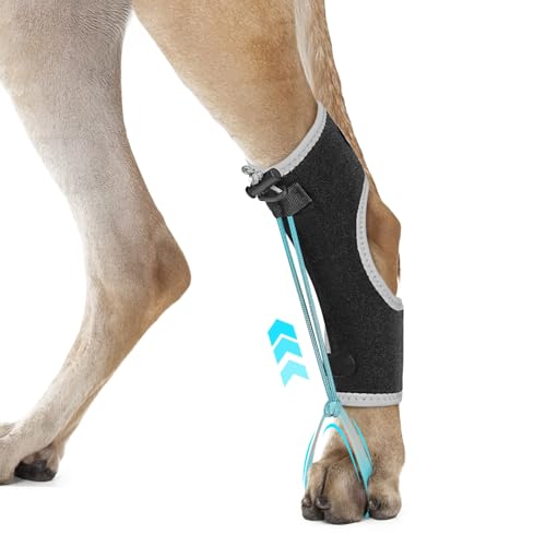 Dog Knuckling Brace Wrap for Hyperflexion of Phalanges Cause by ...