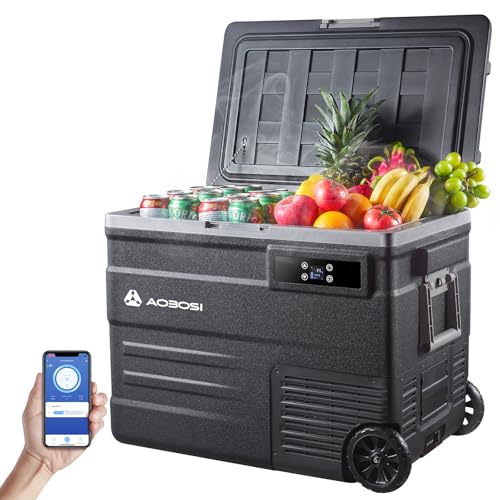 AAOBOSI Nevera Portátil 55 litros, -20℃ a 20℃,App Control Nevera Coche, 12V/24V DC y 100V a 240V AC, Nevera Portatil Electrica para Hogar, Camping, Viajes, Coche, Barco y Autocaravana
