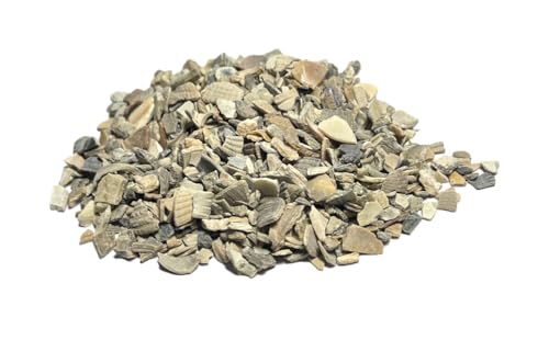 Muschelschalen grob gemahlen 500g | Kalzium | Achatschneckenfutter, Schnecken, Schildkröten, Vögel, Reptilienfutter | Terrarium | Dekoration