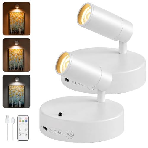 Image of GOODEA Spotlights Indoor with Remote, 5500mAh Rechargeable Battery Plant Spotlight Indoor, Wireless Uplighting with 3 Colors & 24H Cycle Timer, Picture Light for Painting(2 Pack 5500mAh, White)